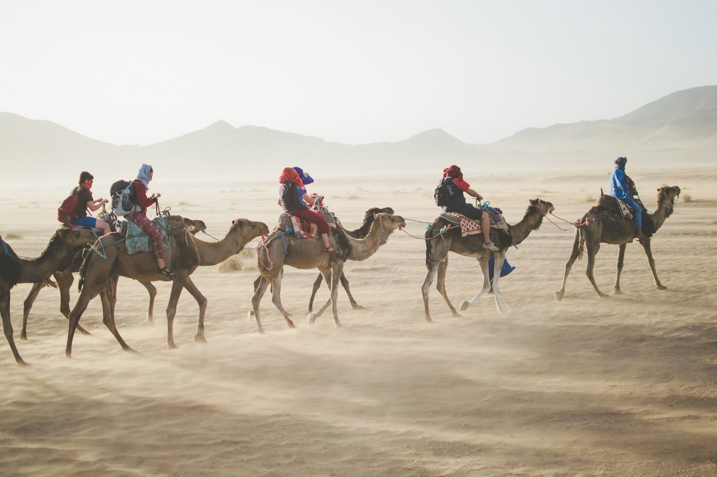 Camel tour in Los Cabos.